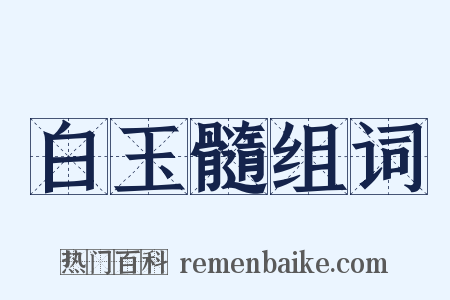 白玉髓组词是什么意思的图片